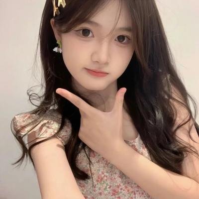 建筑师的挑战:斯特拉斯堡大教堂